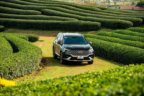 TC Group thông báo kết quả bán hàng Hyundai tháng 7.2022