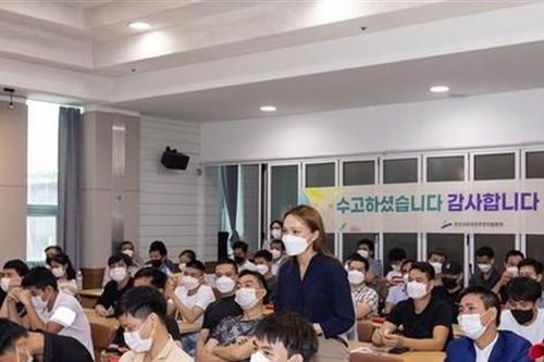 Tư vấn pháp luật cho người lao động Việt Nam tại Hàn Quốc
