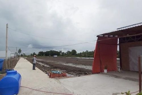 Tự phát mở hẻm, phân lô bán nền trên đất nông nghiệp