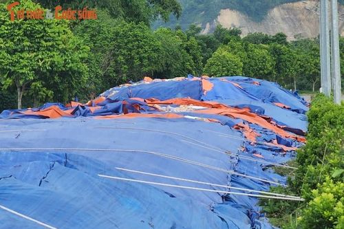 Bãi rác khổng lồ 'nhấn chìm' đường Trương Hán Siêu: UBND TP Hòa Bình vào cuộc