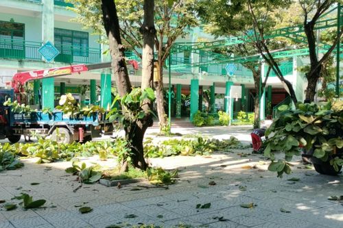 Ưu tiên tuyển dụng giáo viên theo chính sách thu hút trước năm học mới