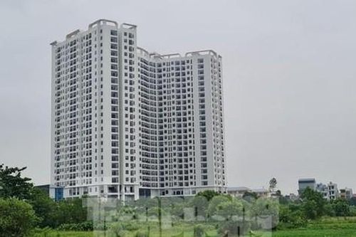 'Lùa' dân vào ở chưa nghiệm thu, chủ dự án Tecco Diamond bị xử phạt