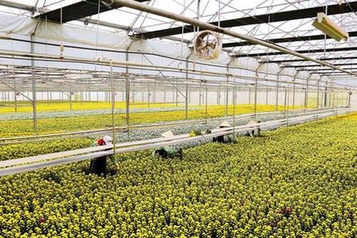 Dự báo thị trường là khâu then chốt để mở cánh cửa đầu ra cho HTX