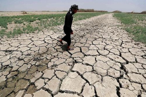 Cư dân vườn địa đàng ở Iraq: 'Cuộc sống của chúng tôi thế là hết'