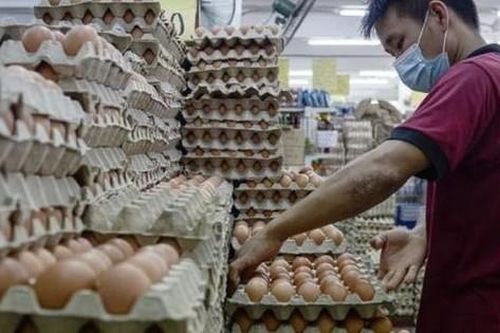 Trung Quốc: Gà đẻ ít hơn vì trời quá nóng, giá trứng tăng chóng mặt