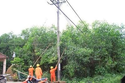 Dùng liềm hái chôm chôm nam sinh lớp 7 bị điện giật tử vong