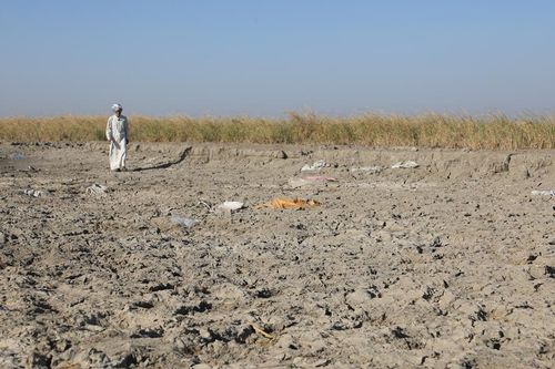 Hạn hán biến 'Vườn Địa đàng' của Iraq thành các vùng sa mạc