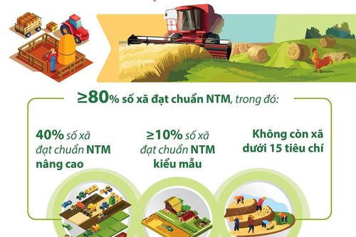 Phấn đấu đến năm 2025, cả nước có ít nhất 80% số xã đạt chuẩn nông thôn mới