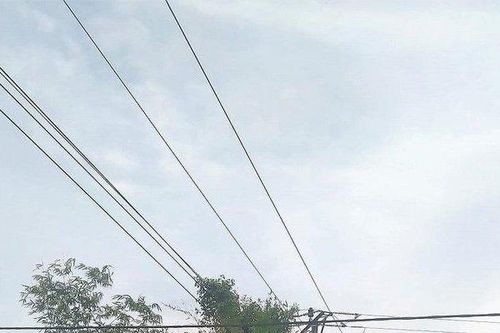 Nam sinh lớp 7 thiệt mạng vì bị điện giật trong lúc hái chôm chôm