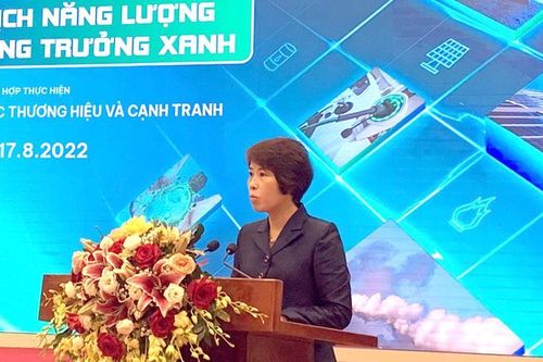 Việt Nam cần huy động nhiều nguồn lực quốc tế để chuyển dịch năng lượng