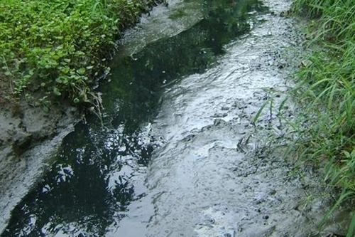 Gây ô nhiễm môi trường bị phạt 165 triệu đồng