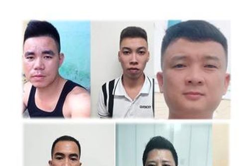 Băng nhóm núp bóng doanh nghiệp hoạt động tội phạm