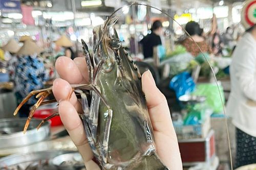 Tôm sú 'khổng lồ' giá 650.000 đồng/kg