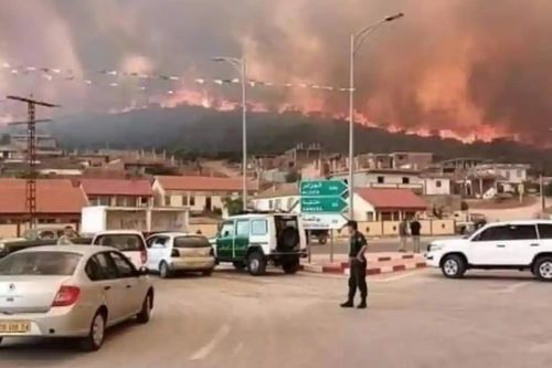 Cháy rừng lan rộng tại Algeria gây nhiều thương vong