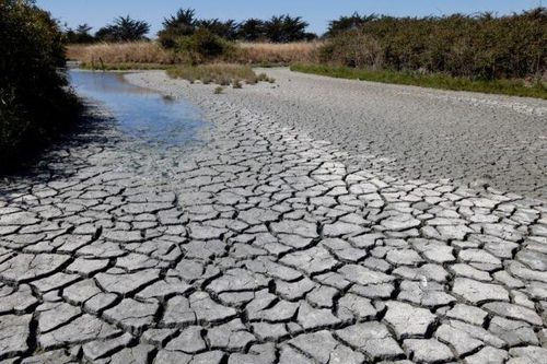 Pháp: Hạn hán dẫn tới 'điều chưa từng thấy' ở sông Loire