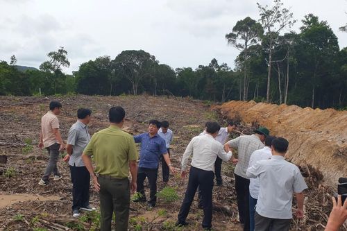 Kiên Giang: Xử lý việc lấn chiếm rừng, khu bảo tồn biển và rác thải tại Phú Quốc
