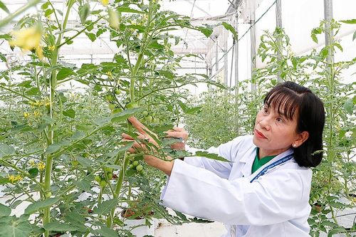 Viết những ước mơ