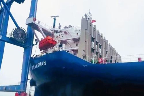 Hải Phòng: Bắt giữ tàu biển đâm hỏng cần cẩu dàn cảng Đình Vũ