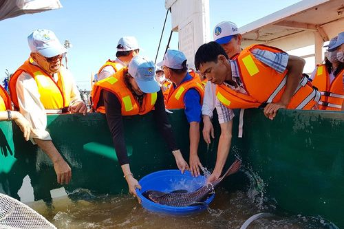 Phát triển thủy sản bền vững