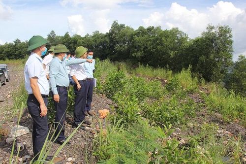 Nâng cao năng lực xử lý nước thải mỏ
