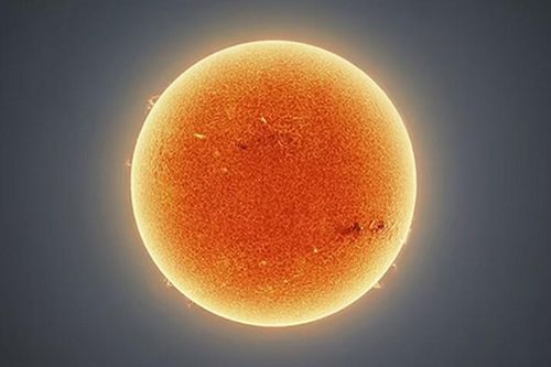 Top 5 điều đáng kinh ngạc trong cuộc sống có thể bạn chưa biết