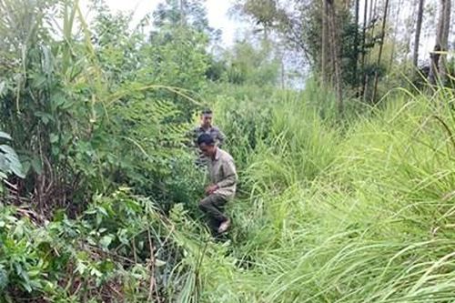 Không đòi được tiền, dùng súng tự chế bắn người rồi bỏ trốn vào rừng