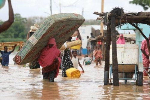 Mưa lớn trong nhiều tháng qua gây thiệt lại lớn cho Chad