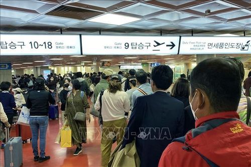 Đảo Jeju thúc đẩy áp dụng giấy phép du lịch điện tử