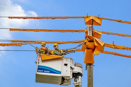 Kết nối quản lý, vận hành lưới điện từ xa