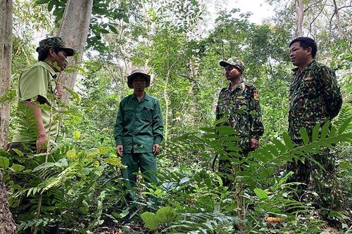 Tiếp lửa cho người giữ rừng Tây Nguyên