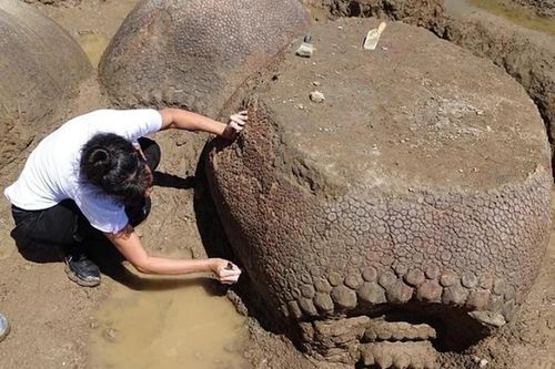 Top quái vật khổng lồ 'khó tưởng tượng' từng tồn tại trên Trái đất