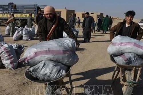 Ấn Độ cung cấp lô hàng hỗ trợ y tế thứ 10 cho nhân dân Afghanistan
