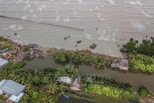 Xây dựng các giải pháp dựa vào thiên nhiên thích ứng với biến đổi khí hậu