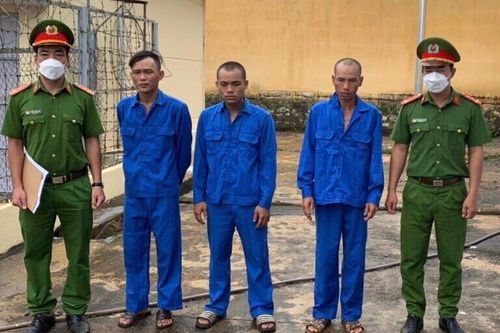 Công an Đắk Nông triệt phá các nhóm chuyên trộm cắp tài sản lấy tiền sử dụng ma túy