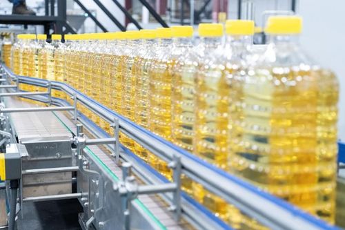 Giá dầu hướng dương và dầu hạt cải có thể giảm mạnh trong 2 tháng tới