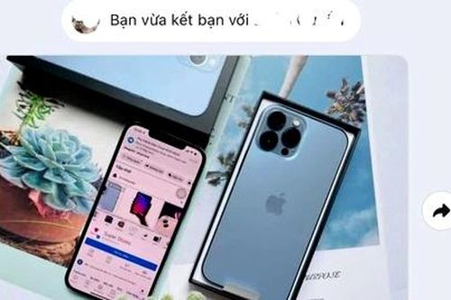 Hình phạt thích đáng cho kẻ lừa đảo