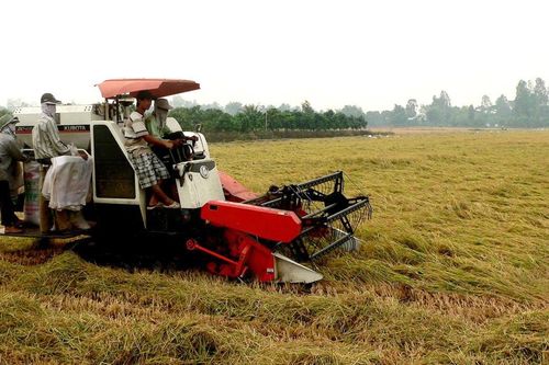 Cần Thơ: Agritechnica Asia Live 2022 với chủ đề 'Cơ giới hóa đồng bộ hướng tới nền nông nghiệp bền vững' diễn ra từ ngày 24 – 26/8