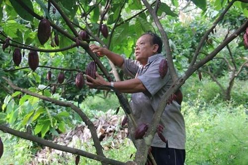 Xây dựng vùng nguyên liệu tập trung, gắn chỉ dẫn địa lý cho nông sản