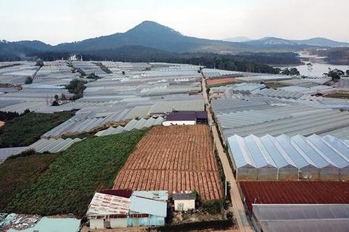 Hệ lụy từ dự án dân cư 'treo' lớn nhất Đà Lạt