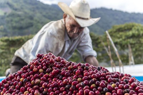Những kẻ độc tài và các vụ thảm sát ở Trung Mỹ