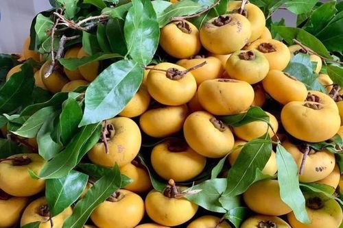 Thứ quả 'chỉ ngửi chứ không ăn' có giá đắt đỏ vẫn cháy hàng