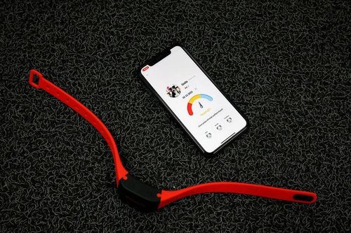 Vòng cổ sử dụng AI để 'dịch' cảm xúc thú cưng