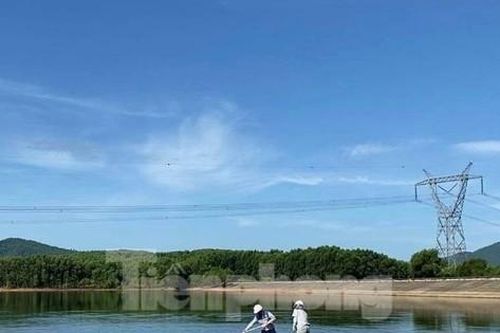 Khẩn trương tìm nguyên nhân cá chết tại hồ cấp nước cho nhà máy nước sạch ở Hà Tĩnh