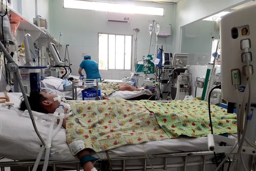 TP Hồ Chí Minh: Số ca mắc sốt xuất huyết có giảm, nhưng vẫn ở mức cao