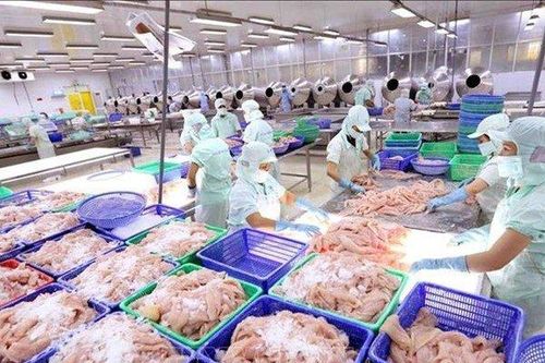 Em dâu Chủ tịch HĐQT ACL tiếp tục muốn thoái sạch vốn