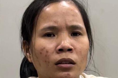 Công an Hà Nội thông tin về nữ nghi phạm chiếm đoạt trẻ sơ sinh để cho đồng nghiệp
