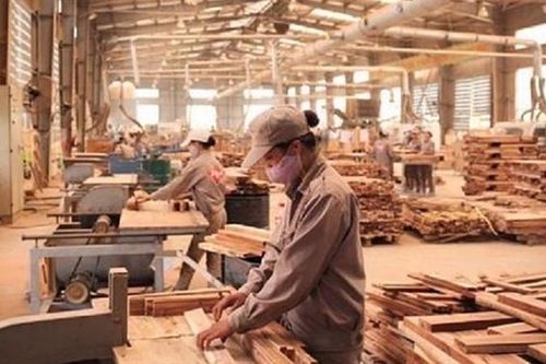 Đơn hàng xuất khẩu gỗ giảm sâu