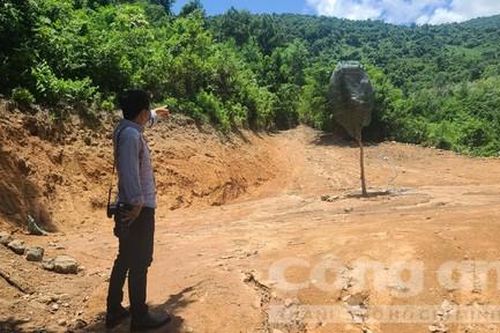 'Băm' rừng trái phép để làm dự án