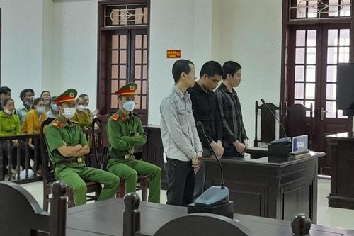 Tổ chức 'tiệc bay', cả đám xộ khám