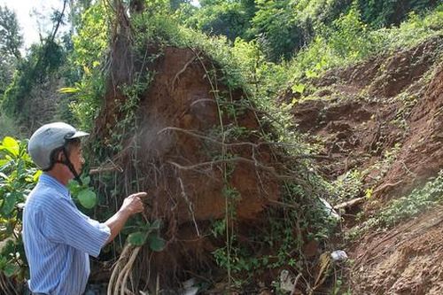 Quảng Ngãi: Hàng chục hộ dân bất an sống cạnh đồi núi sạt lở An Vĩnh